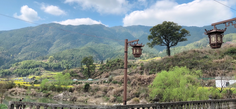 婺源江岭油菜花